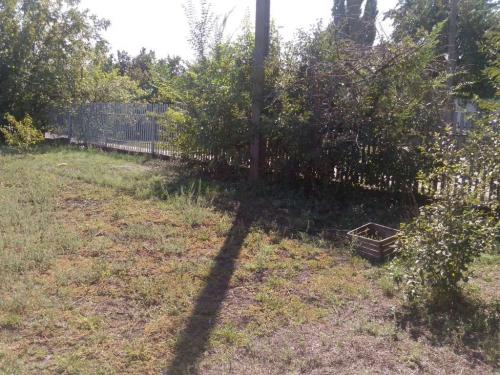 Sell house. Полтава, Береговая — photo 3