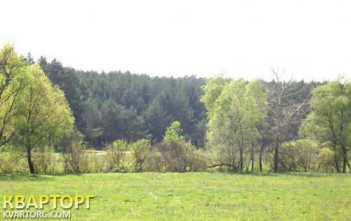 Sell house. Киевская обл., Ходосовка — photo 5