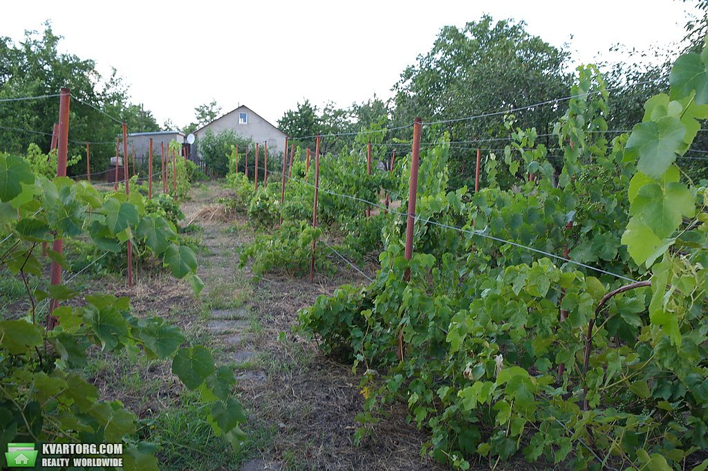 Sell house. Одесса, Светлое — photo 5