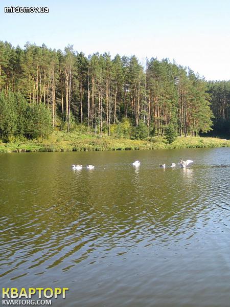 Sell house. Киевская обл., с. Горбовичи — photo 9
