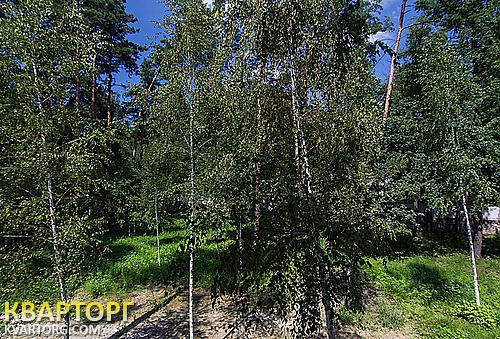 Sell house. Киевская обл., Романков — photo 5