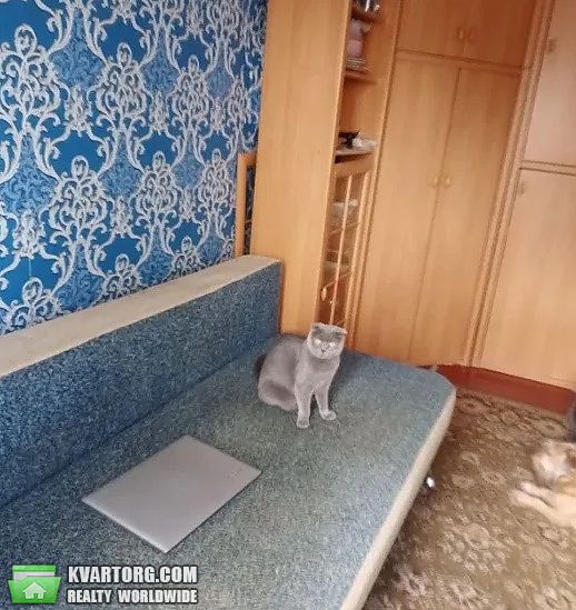 Sell 2-room apartment. Киев,  Комарова — photo 2
