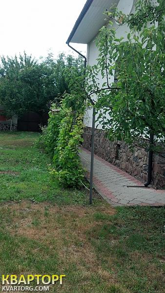Rent out house. Киевская обл., Белогородка — photo 9