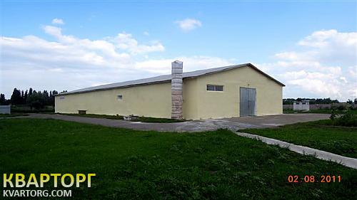 Rent out warehouse. Киевская обл., с.Чернихов — photo 1