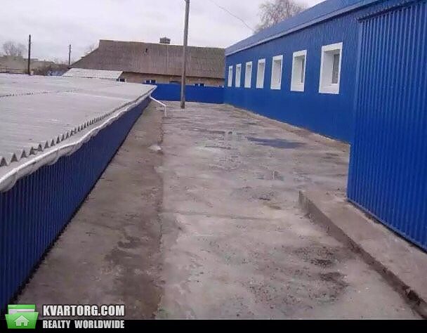 Sell warehouse. Борисполь, совхозная1 — photo 4