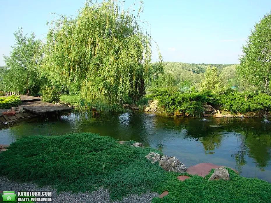 Rent out house. Киевская обл., Великие Дмитровичи — photo 6