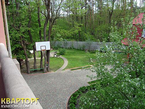 Rent out house. Киевская обл., Вита-Почтовая — photo 6