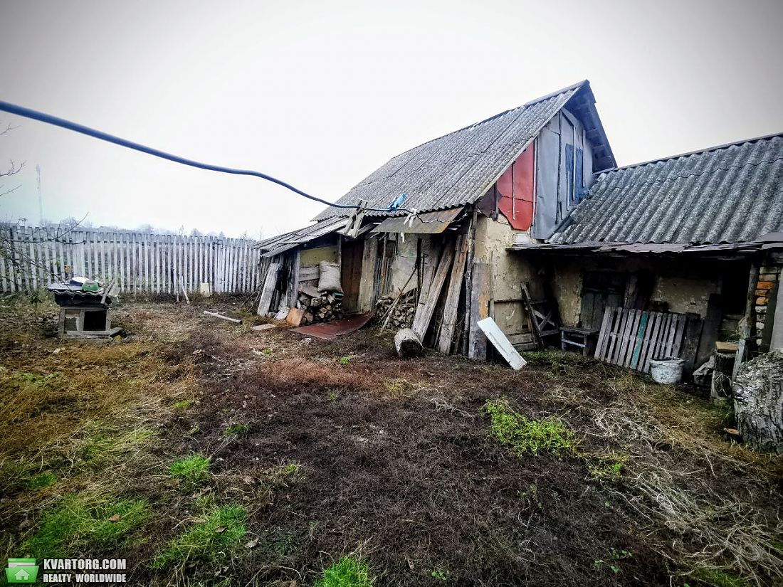 Sell house. Киевская обл., Кривошиївці — photo 4