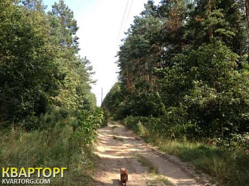 Rent out house. Киев,  Наумова — photo 4