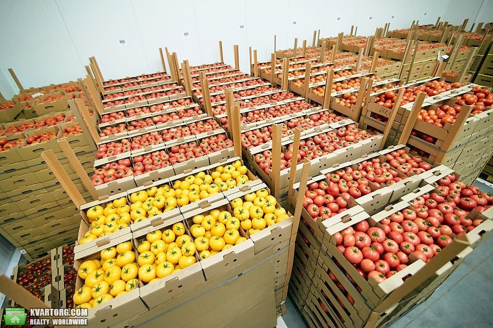 Rent out warehouse. Киев,  Берковецкая — photo 4