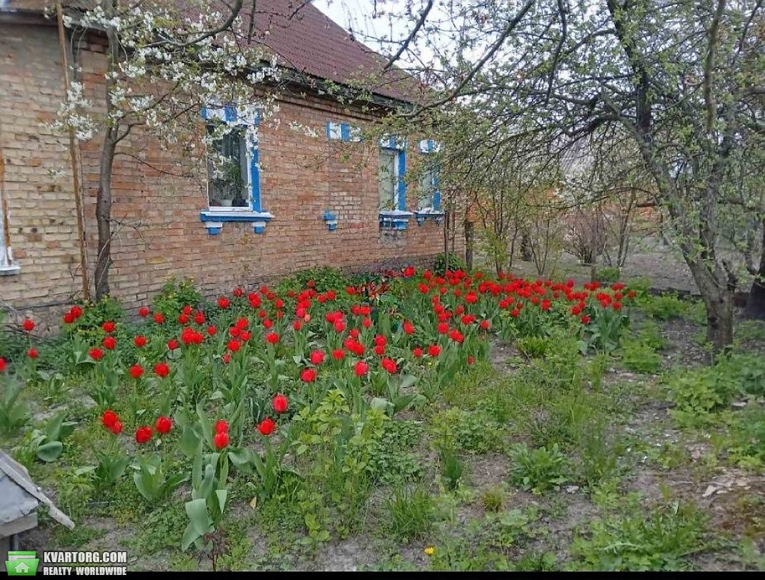 Sell house. Киевская обл., Любимівка — photo 3