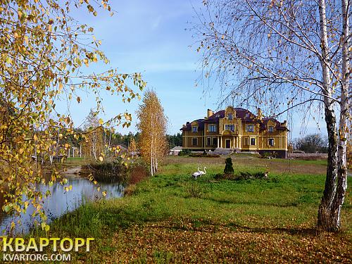 Sell house. Киевская обл., Дубечня — photo 4