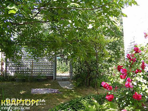 Sell house. Киевская обл., Здоровка — photo 6