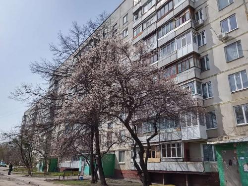 продам 2-комнатную квартиру. Харьков,  Тракторобудівників - фото 3