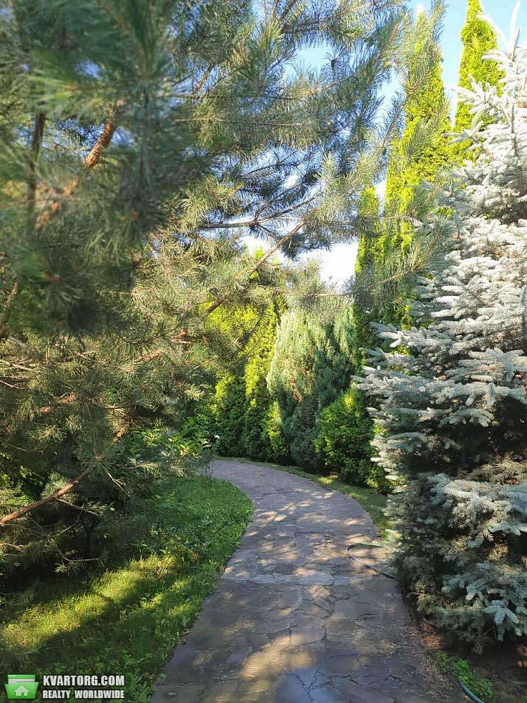 Rent out house. Киевская обл., Центральная — photo 4
