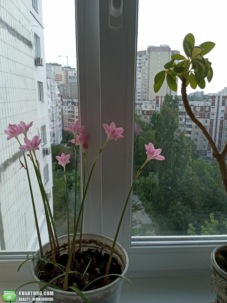 Sell 2-room apartment. Киев,  Гетьмана — photo 1