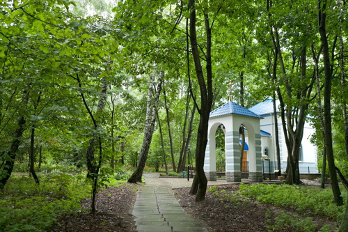 Sell house. Киевская обл., Сельская улица — photo 6