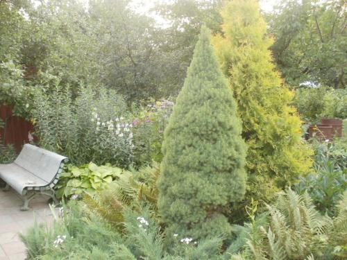 Rent out house. Киев, Садовая — photo 8