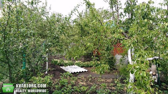 Sell house. Киевская обл., г. Кагарлык — photo 10