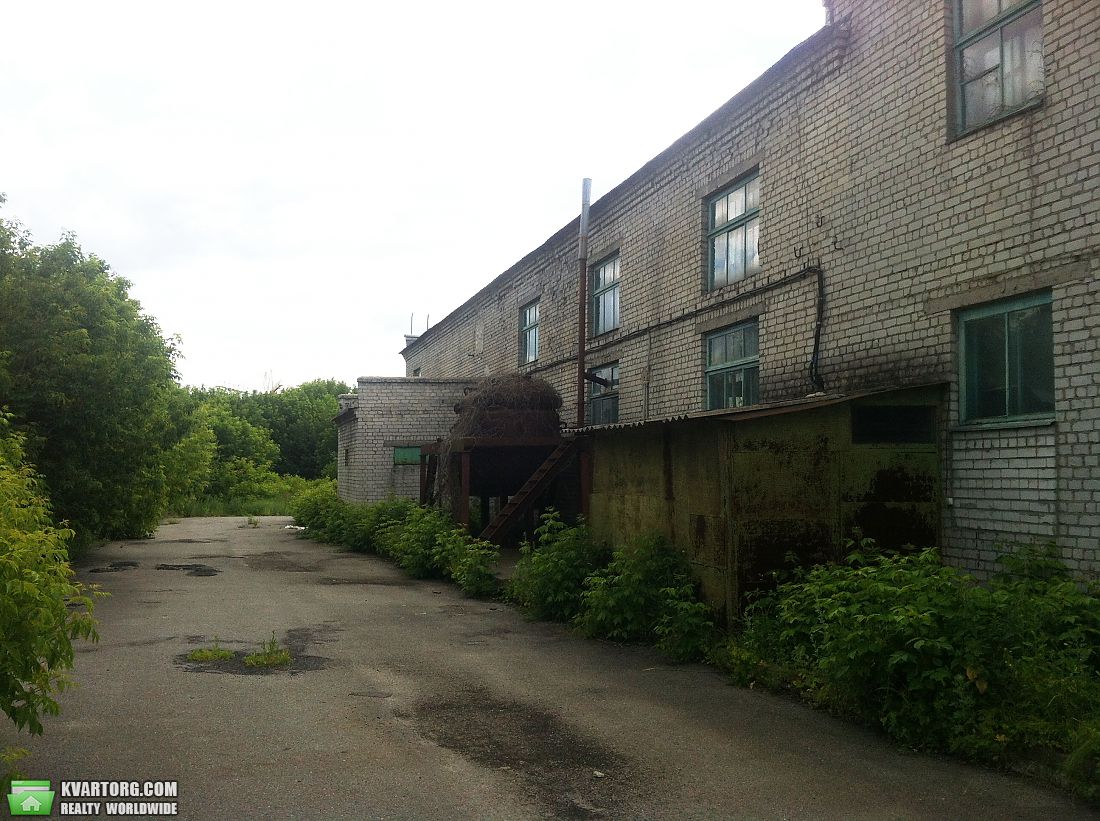 Rent out warehouse. Киев,  Оросительная — photo 4