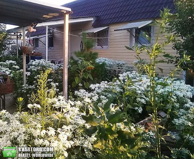 Sell house. Киевская обл., Кленово — photo 4