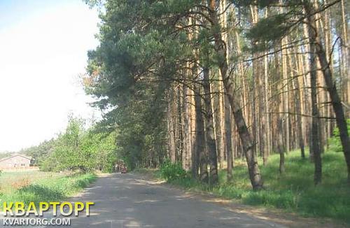 Sell house. Киевская обл., Процев — photo 2