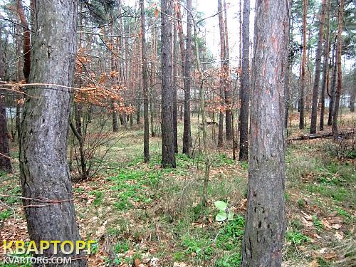 Sell house. Буча, пер. Революции — photo 6