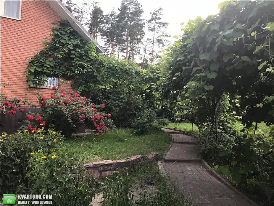 Rent out house. Киевская обл., Капитановка — photo 6