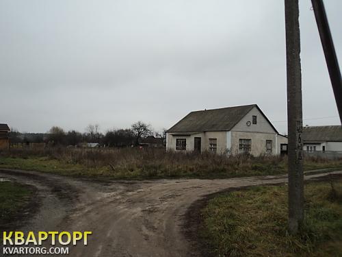 Sell house. Киевская обл., нещерів — photo 1