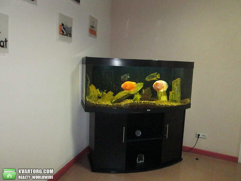 Rent out office. Киев, Антоновича — photo 6
