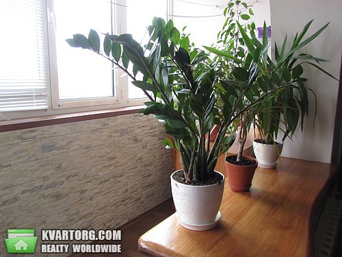 Sell 2-room apartment. Одесса, Фонтанская дор. — photo 5