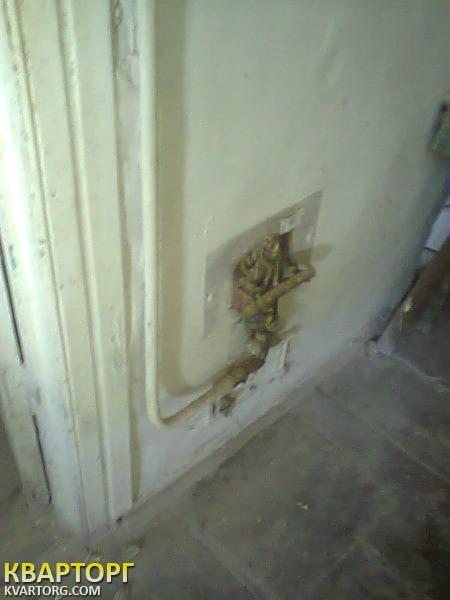 Sell house. Чернигов, Боромыки — photo 2