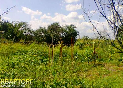 Sell house. Киевская обл., здвижевка — photo 5