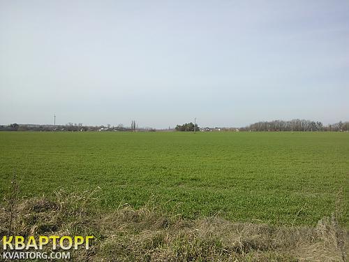 Sell house. Киевская обл., Виноградная — photo 7