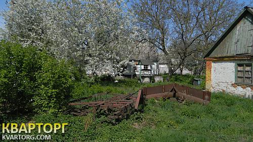 Sell house. Киевская обл., с.Гребёнки — photo 6