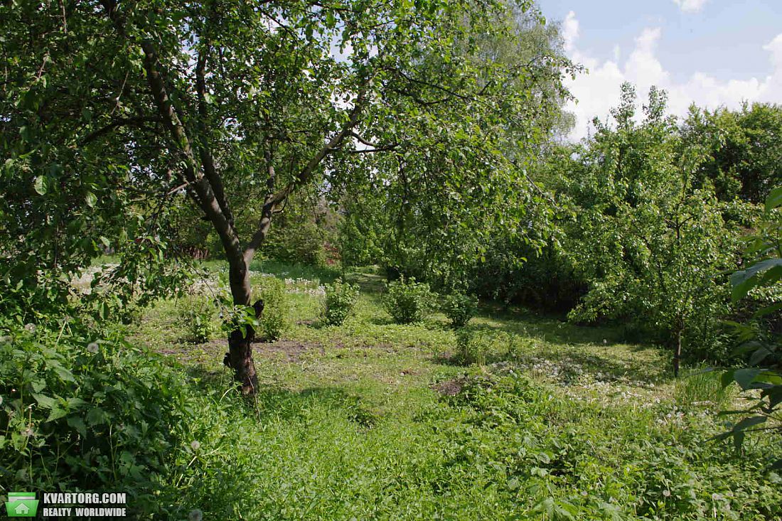 Sell house. Борисполь,  Луговая — photo 10