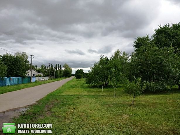 Sell house. Киевская обл., с. Рудницкое — photo 3