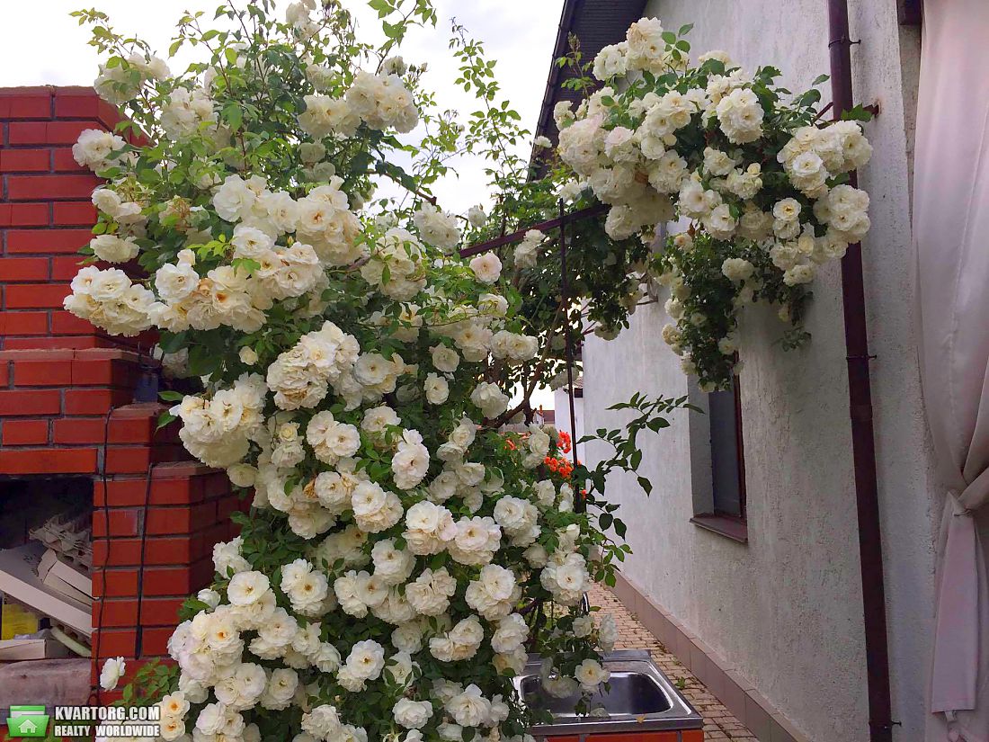 Sell house. Одесса, Шевченко — photo 1