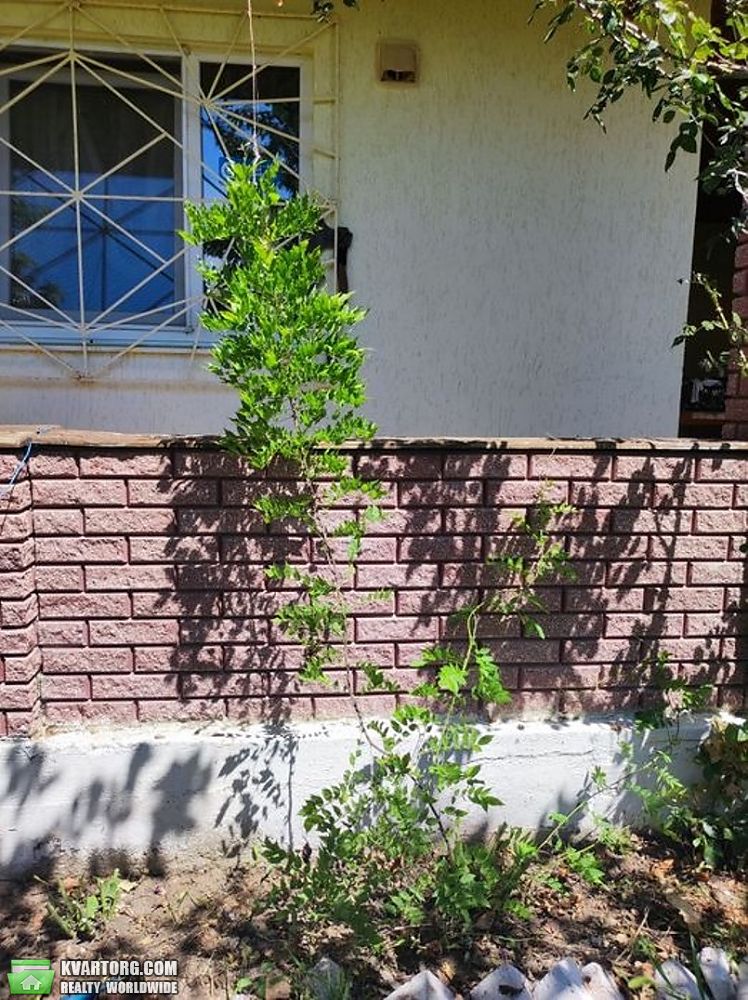 Sell house. Одесса, Барабой — photo 5
