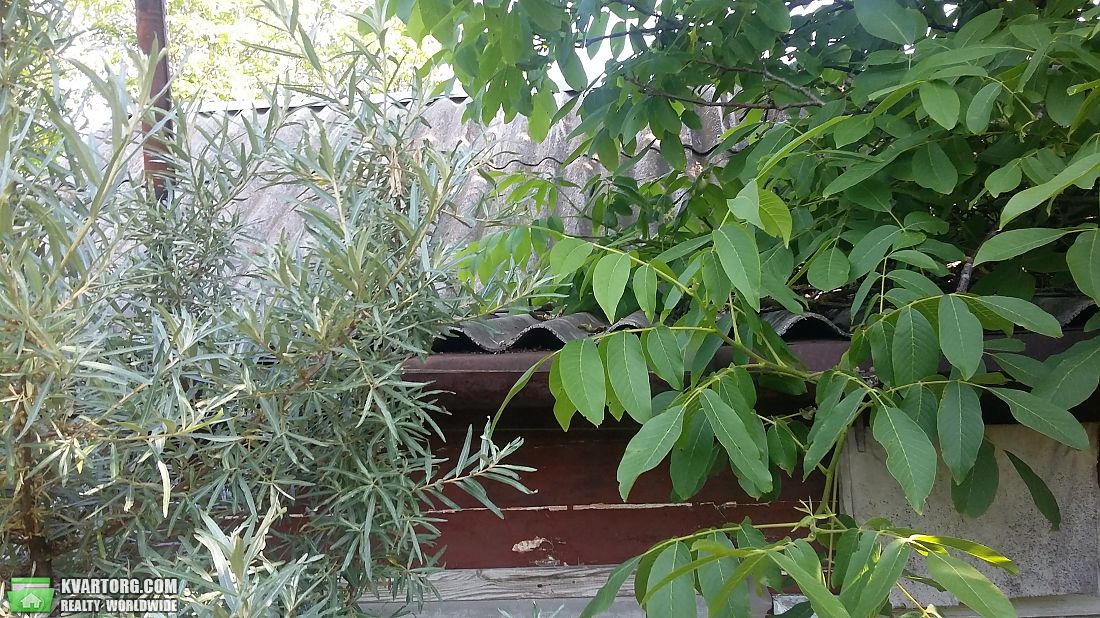 Sell house. Киевская обл., Медиков — photo 3