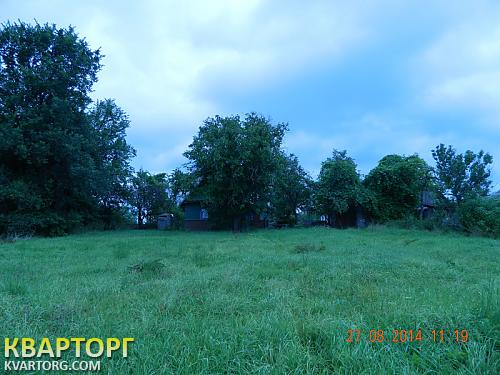 Sell house. Житомир, Загута — photo 4