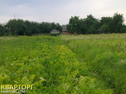 Sell house. Киевская обл., кухари — photo 7