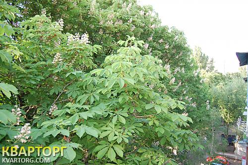 Sell 3-room apartment. Киев, Дружбы Народов бул — photo 7