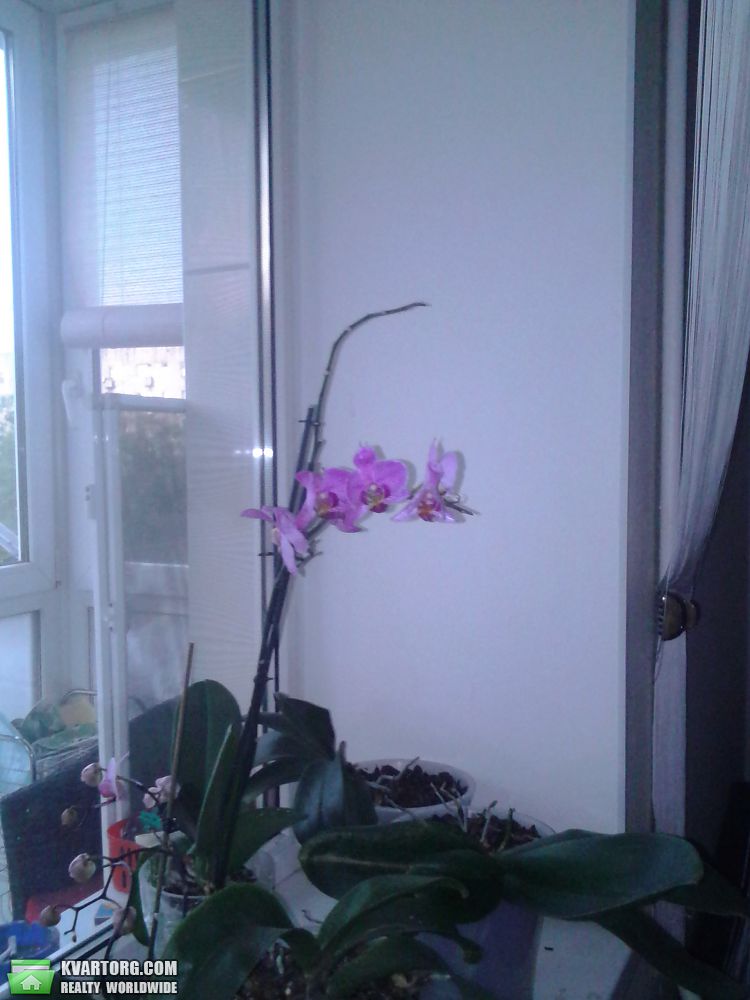 Sell 3-room apartment. Одесса, ул.Щорса — photo 7