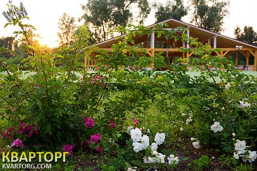 Rent out house. Киев, Броварской р-н — photo 10