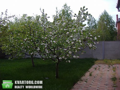 Sell house. Одесса, Царское село — photo 5