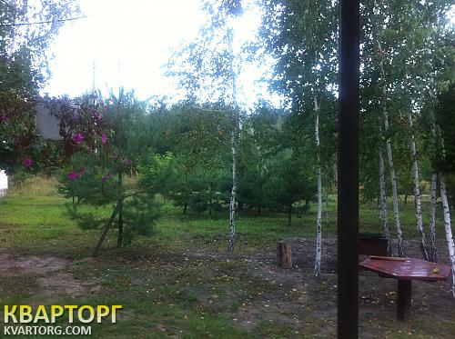 Sell house. Киевская обл., малютянка — photo 4