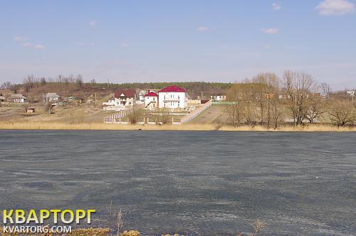 Sell house. Киевская обл.,  Приречная — photo 10