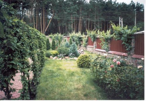 Sell house. Киевская обл., Дачная — photo 6