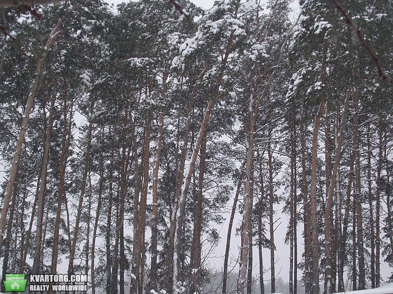 Sell house. Харьков, Колхозная — photo 9